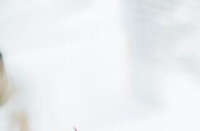 lotus-spa-template-about-gallery-slider-img-2